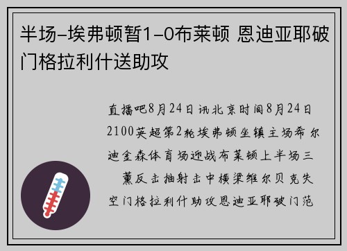 半场-埃弗顿暂1-0布莱顿 恩迪亚耶破门格拉利什送助攻